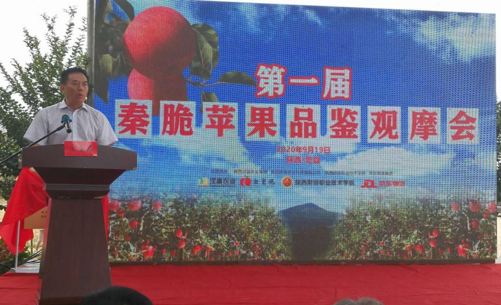 于新和院长讲话